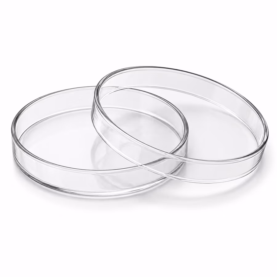Petridish close view