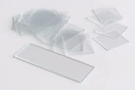 Microscope Glass Slips